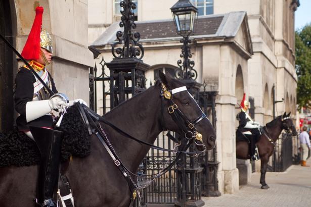 HERE'S THE HEADS UP!