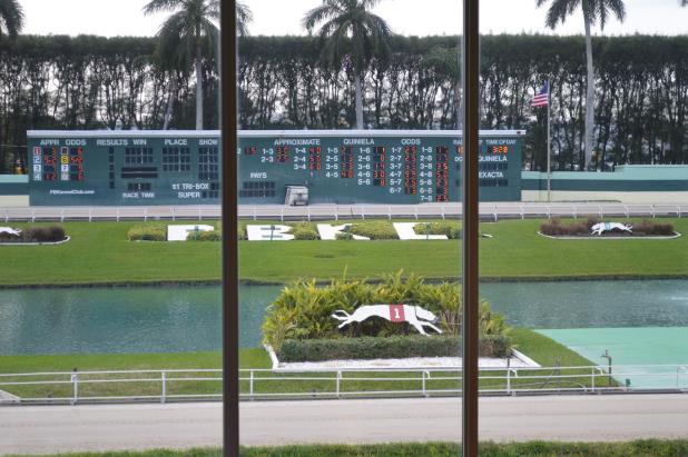 PALM BEACH KENNEL CLUB CIRCUIT DAY 2 UPDATES
