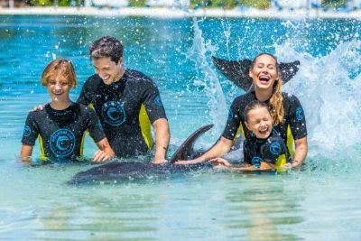 Atlantis Marine Programs Dolphin Cay Playtime With Dolphins