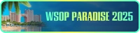 WSOP PARADISE 2025